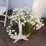 Guest house Oddevej 20