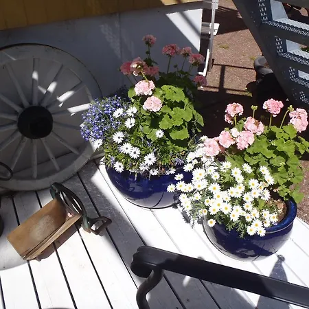 Oddevej 20 * סקאגן