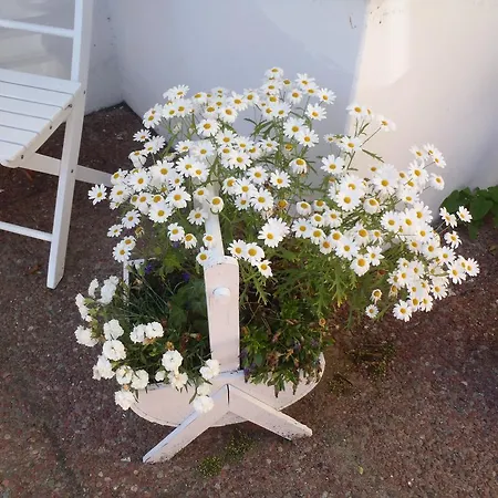 בית הארחה Oddevej 20